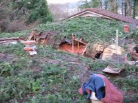 Storm Damage Photos 036.jpg