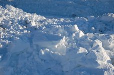 DSC_1081.JPG