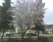 Feb24_0001.jpg