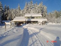 2009snow.jpg