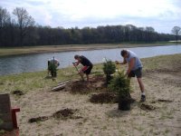 First Trees getting planted.jpg
