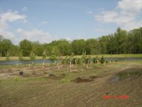 Looking East at Nursery.jpg
