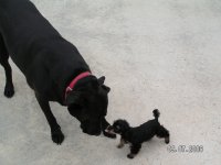 Picture 115.jpg