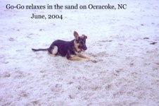 go-go-ocracoke-03.jpg