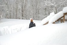 Dsc_0066_1.jpg