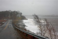 IMG_6688.jpg