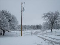 SD530846.jpg