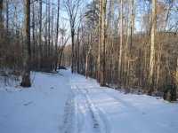 IMG_3118 (Small).JPG