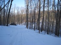 IMG_3114 (Small).JPG