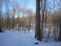 IMG_3113 (Large).JPG