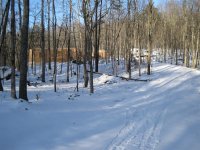IMG_3112 (Large).JPG