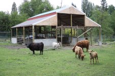 Barn_024.JPG