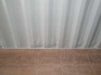 New 40' container! 025.JPG