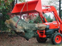 Log Moving 002.JPG