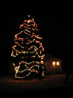 MossXMassTree.jpg