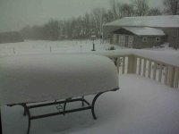 snow jan 3.jpg