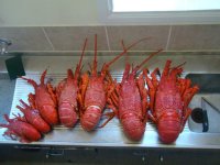 Crays 1.jpg
