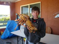 Crays 2.jpg