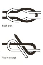 HT knots fig 8.jpg