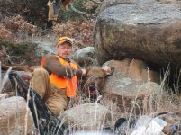 Cow Elk 2008.jpg