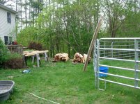 DSCN1238.jpg