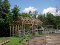 DSCN1298.jpg