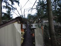 Storm Damage Photos 016.jpg
