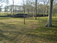 DIRT PILES VIEWED FROM HOUSE.jpg