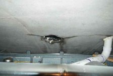 A_bath_ceilingS.jpg