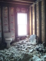 Upper Bath all stripped.jpg