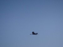 DSC00754.jpg