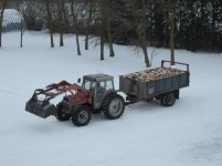 IMG_0282.JPG
