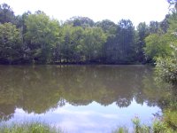 Stocked Lake.JPG
