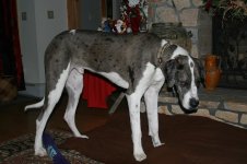jan 2010 038.jpg
