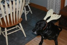 jan 2010 023.jpg