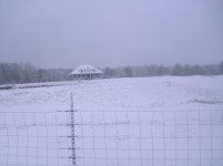 Picture 041.jpg