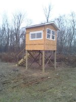 downsized_1115091516.jpg