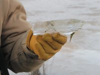 10 Jan 10 006 (Small).jpg