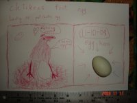 Our first egg-1.JPG