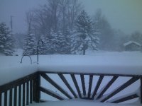 DSCF0039.JPG