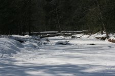 IMG_1906 resize.jpg