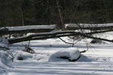 IMG_1907 resize.jpg