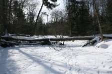 IMG_1913 resize.jpg