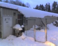 Snow 002.jpg