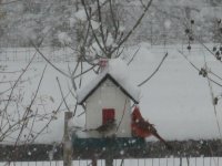 IMG_2878.JPG