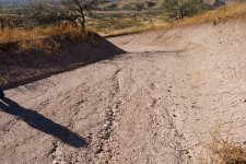 driveway1.jpg
