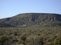 New House 3-4-2010 006.JPG