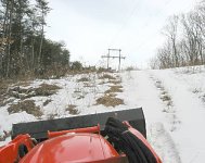 no firewood today.jpg
