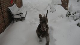 IMG_4275a.jpg