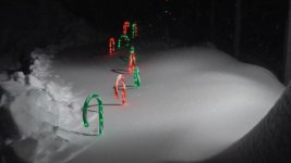 candycanesnow.jpg